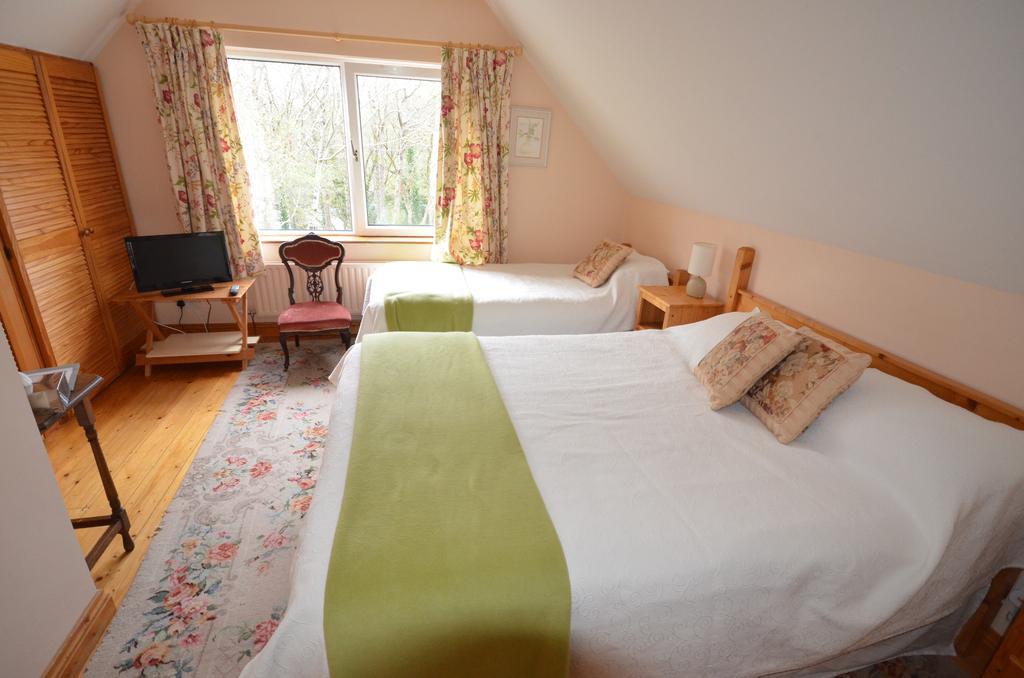 Camillaun Lodge With Lough Corrib Boat Hire Oughterard Pokoj fotografie